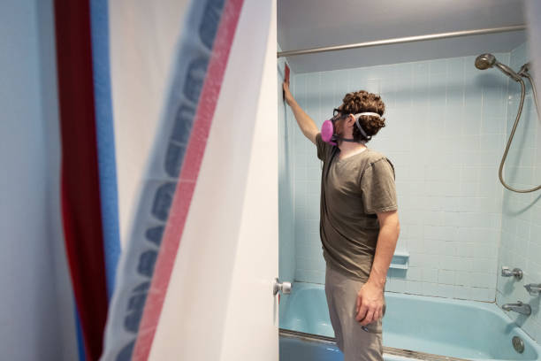 Reliable Reynolds Heights, PA Mold Removal Solutions